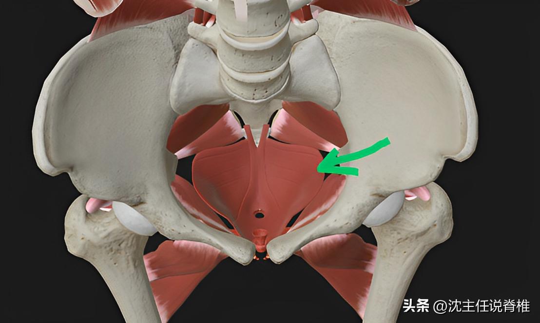 女性产后骶骨疼是什么原因,产后盆底酸疼痛怎么治疗