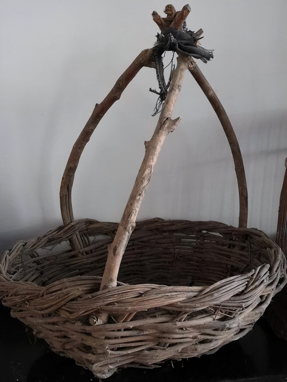 打破山东省小麦高产纪录,河南省今年小麦亩产最高纪录