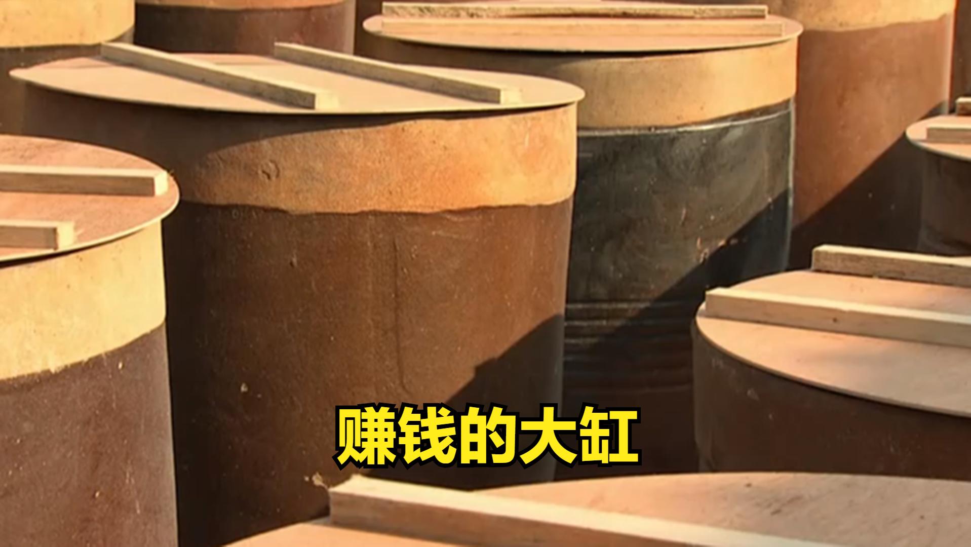 致富经苏国凯养牛,苏国凯养牛