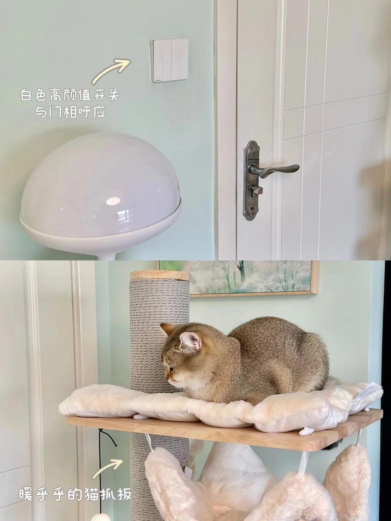 西门子皓彩白色插座测评,西门子开关插座测评