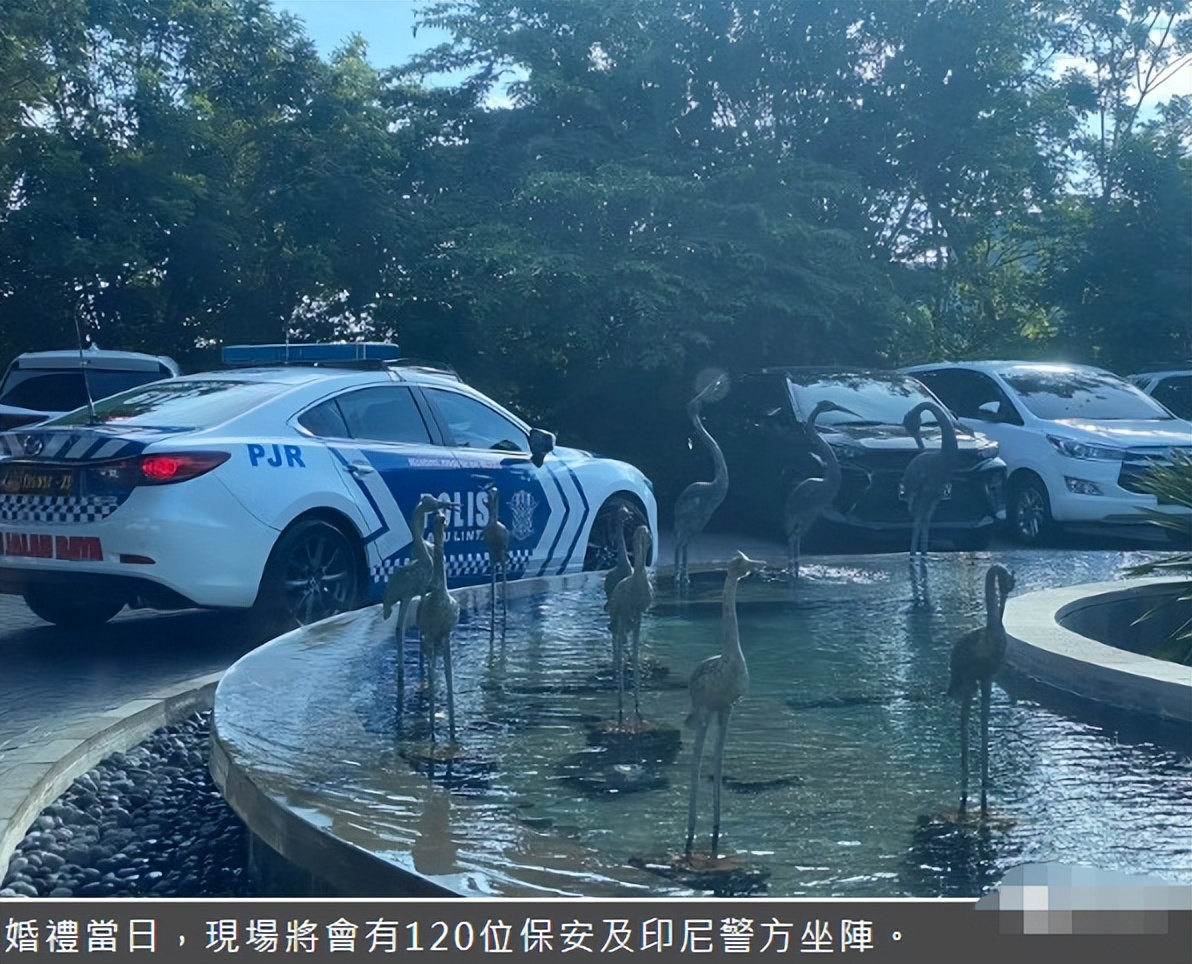 5000万的豪华婚礼有哪些细节,5000万婚礼