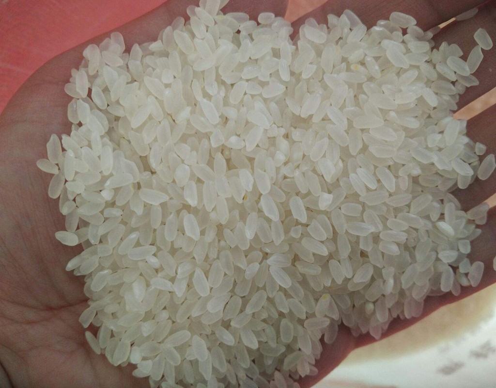 如何减少五常大米造假现象,怎么辨别是真的假的五常大米