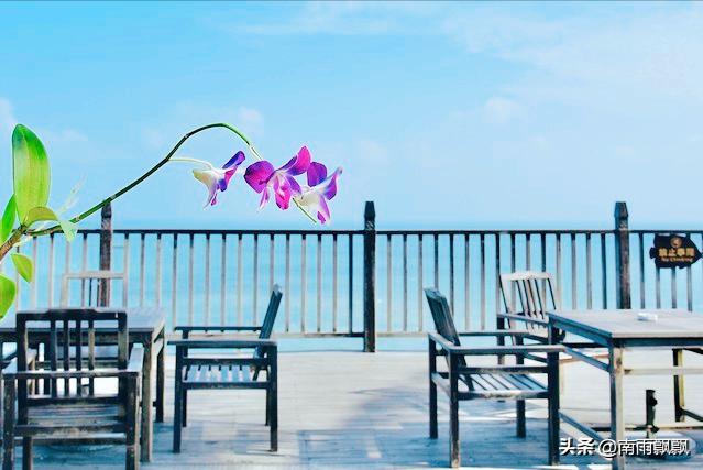 哪有什么长亭古道,斑驳的光影里留下的都是词不达意