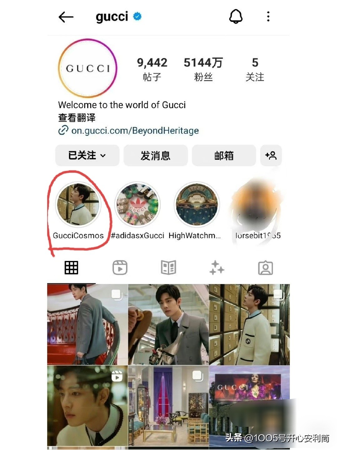 gucci肖战联名,gucci肖战花墙