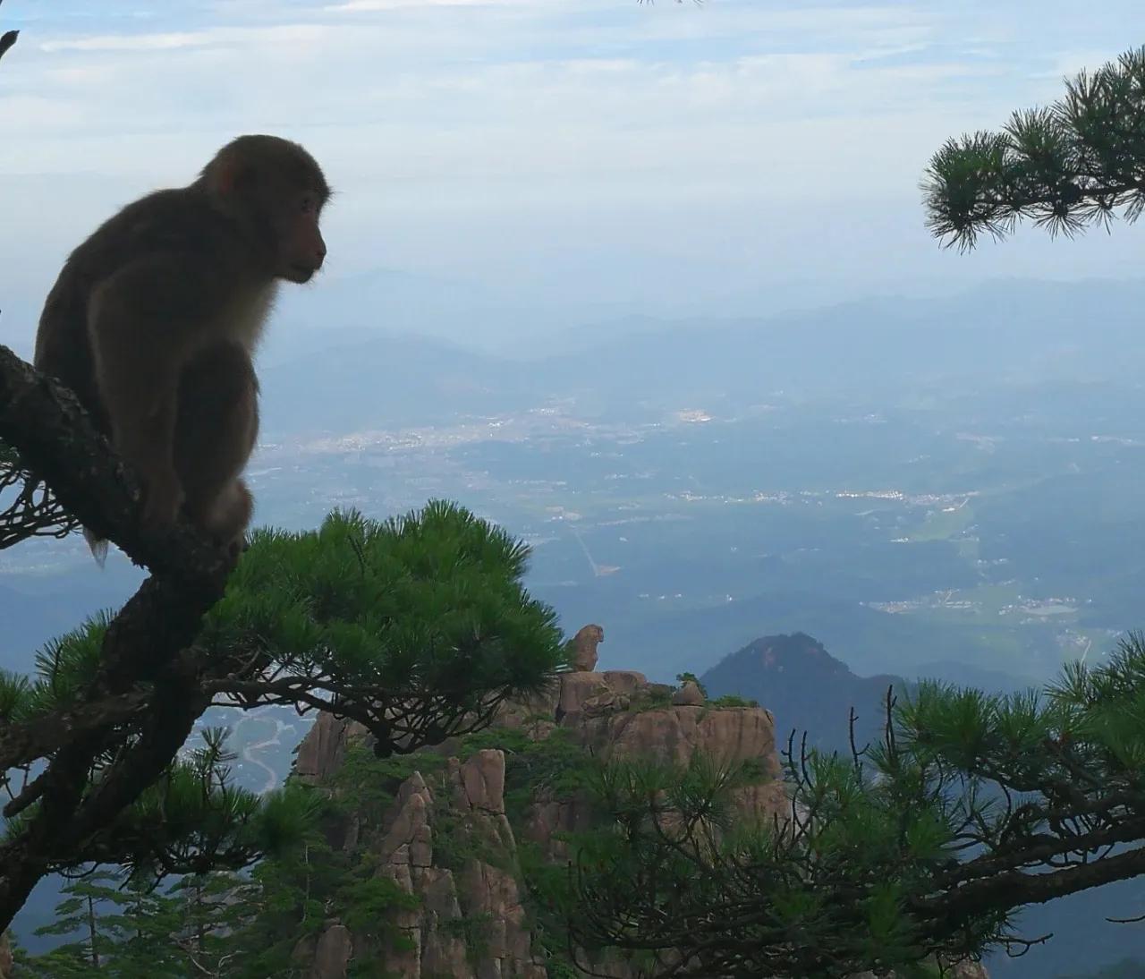5.1旅游攻略景点大全,2024年5.1旅游攻略景点大全