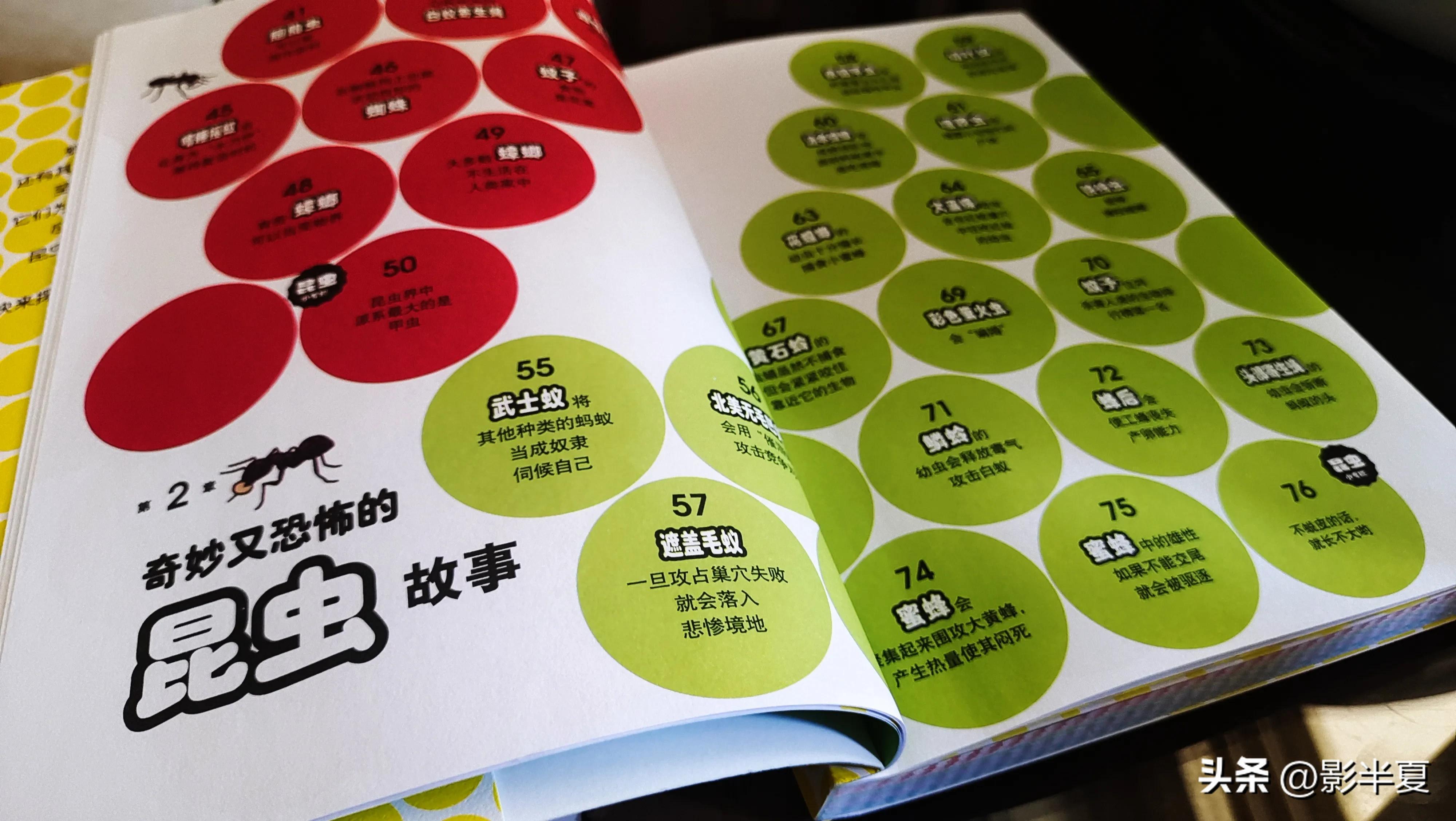 关于昆虫图鉴的书,神奇的昆虫书