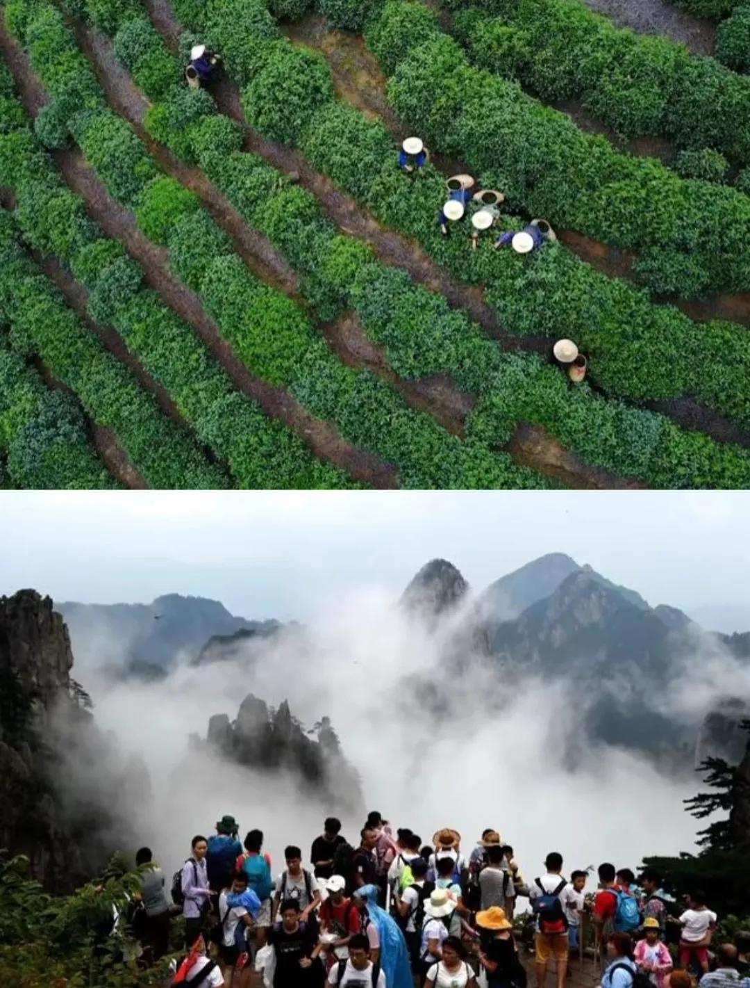 浙江最值得去的十大景区,浙江玉环十大景区排名