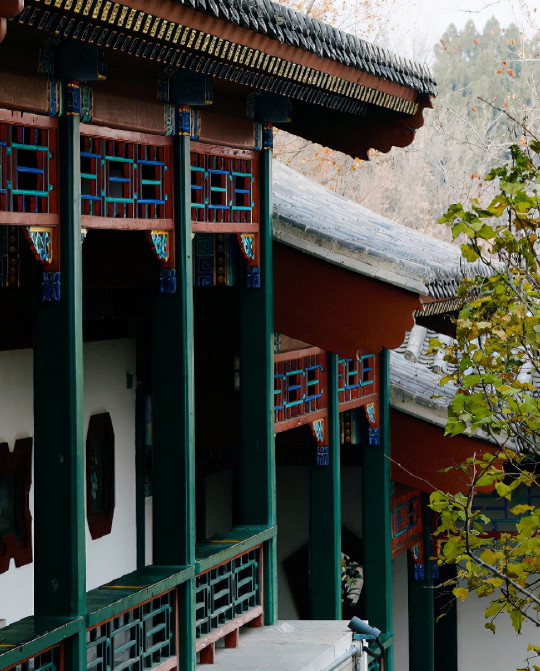 北京植物园的赏花的最好时节,西山秘境惊艳北京的植物