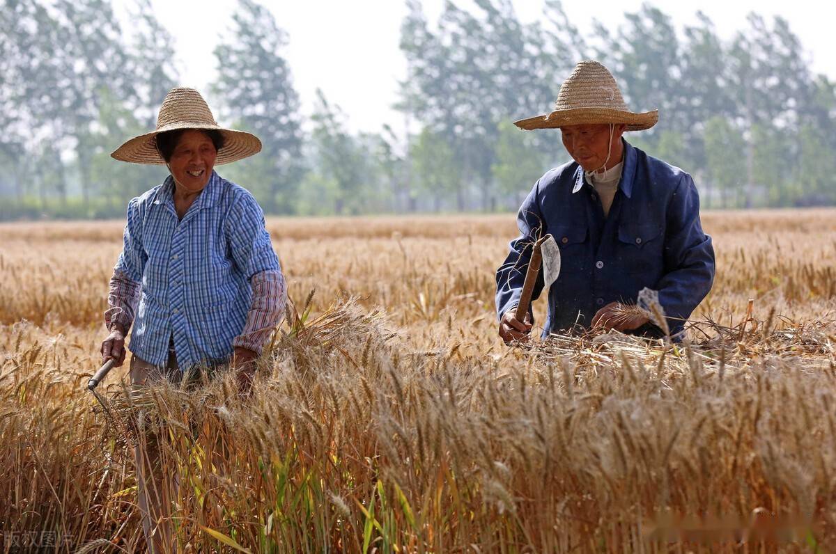 资本下乡了农民怎么办,资本下乡到底是好事还是坏事