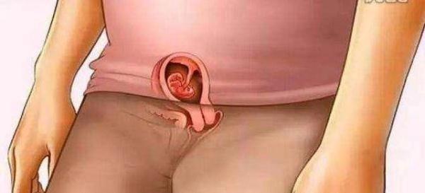 母爱伟大！十张图带你看胎儿成长的壮丽过程