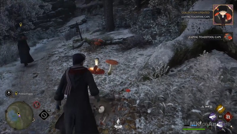 霍格沃茨之遗ps5独占内容,ps5霍格沃茨之遗深度评测