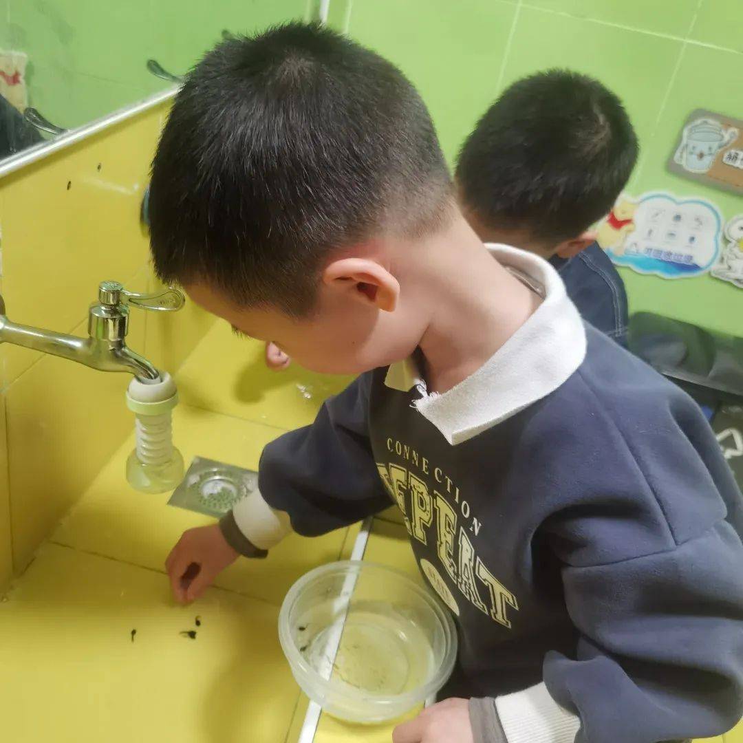 邂逅蝌蚪，感受生命的演变—诺亚舟海盐庆安幼儿园小一班