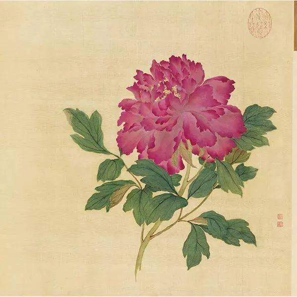 蒋廷锡牡丹画法,蒋廷锡百种牡丹画法