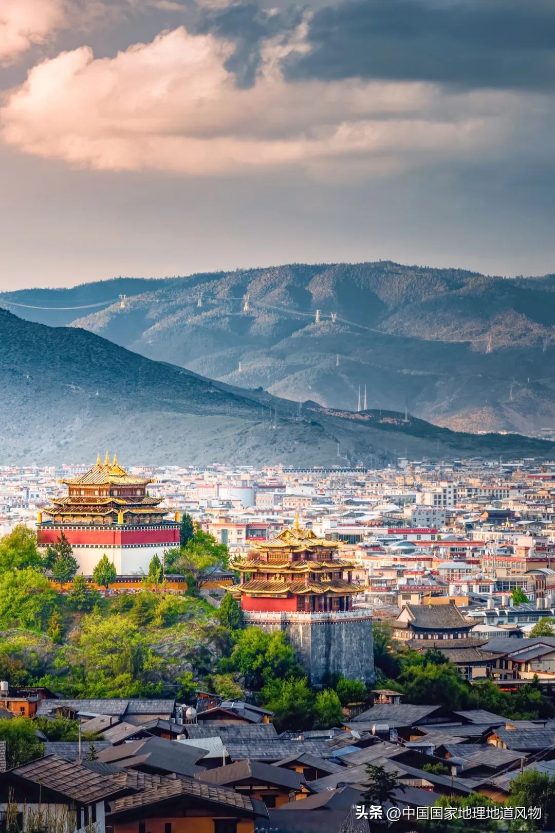 我国哪里盛产火龙果,全国最大的火龙果基地是哪里