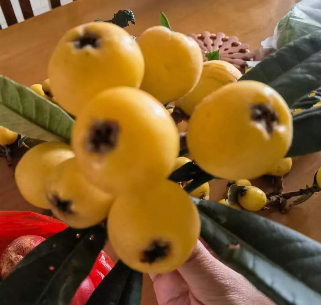 跑船的在船上经常吃海货吗,跑船跑了二十多年