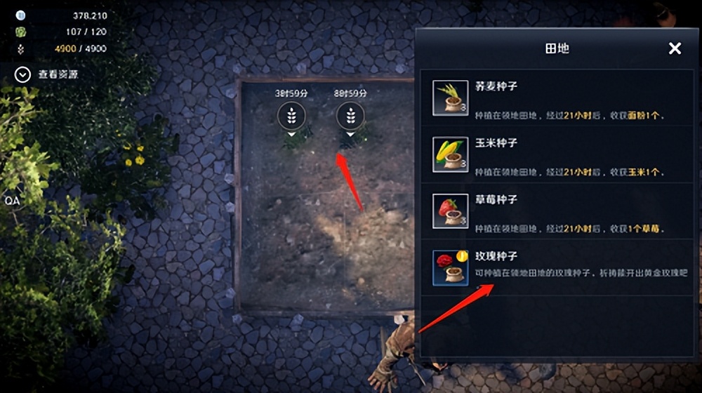 黑色沙漠手游服装怎么获取,黑色沙漠手游装备大全