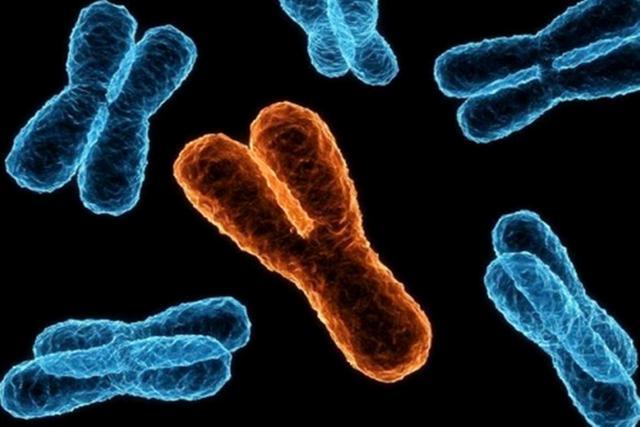 传说中的多*丸睾**是一种什么样的体验？