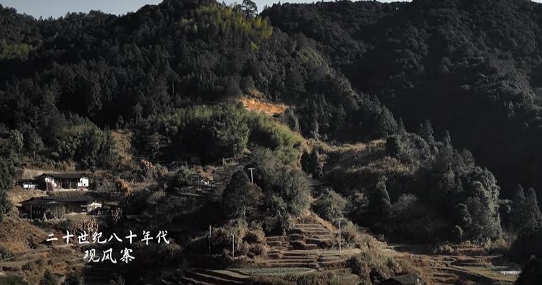 压了几年才播火了的剧,压了很久才播的电视剧