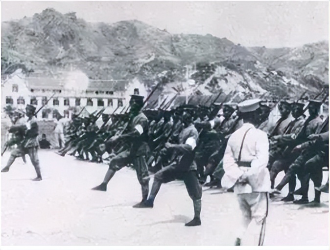 张学良的40万东北军都去哪里了,张学良手握30万大军为何不抵抗