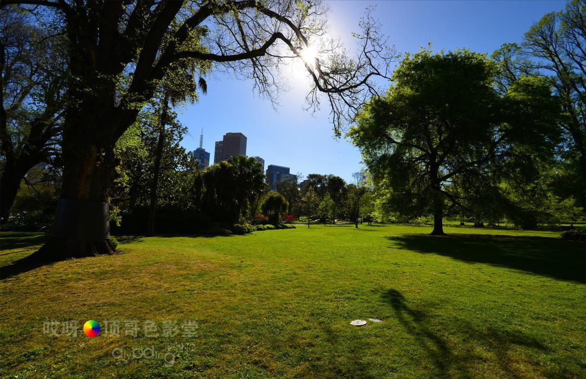 旅行家的眼神，看到不一样的人文澳洲（四之一）