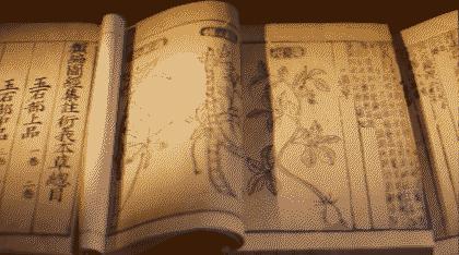 中国话影响全世界,中国话在世界的影响