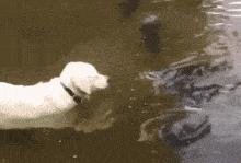 老婆包里发现了什么药,老婆包里发现这个药片