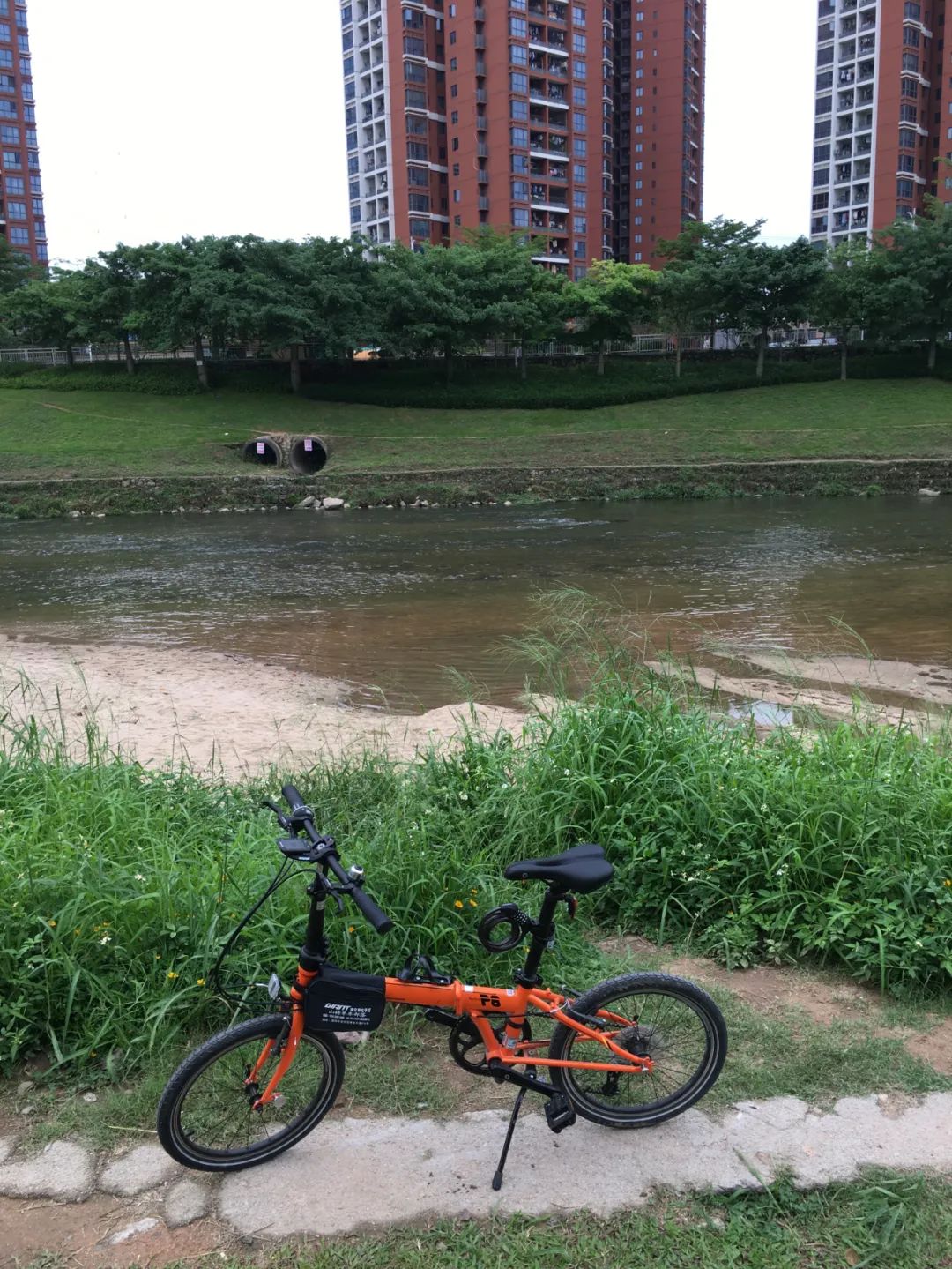 《旭光骑行深圳》第22站——龙华区观湖街道