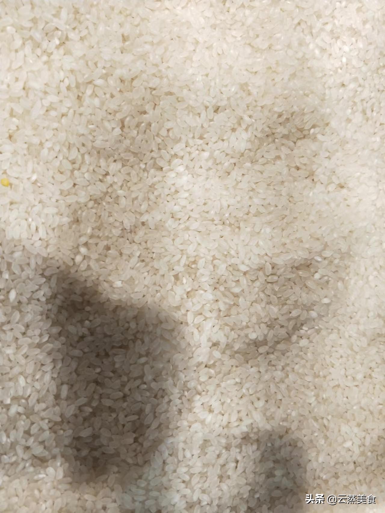 米怎么保存防生虫,米怎么样保存不会生米虫的妙招