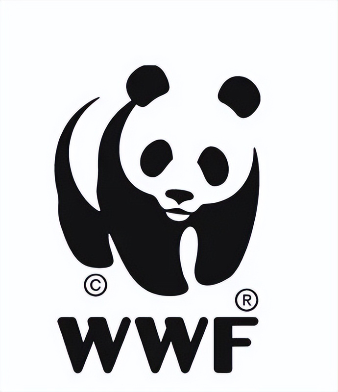 国宝熊猫丫丫回国了吗,国宝熊猫丫丫真的回国了吗