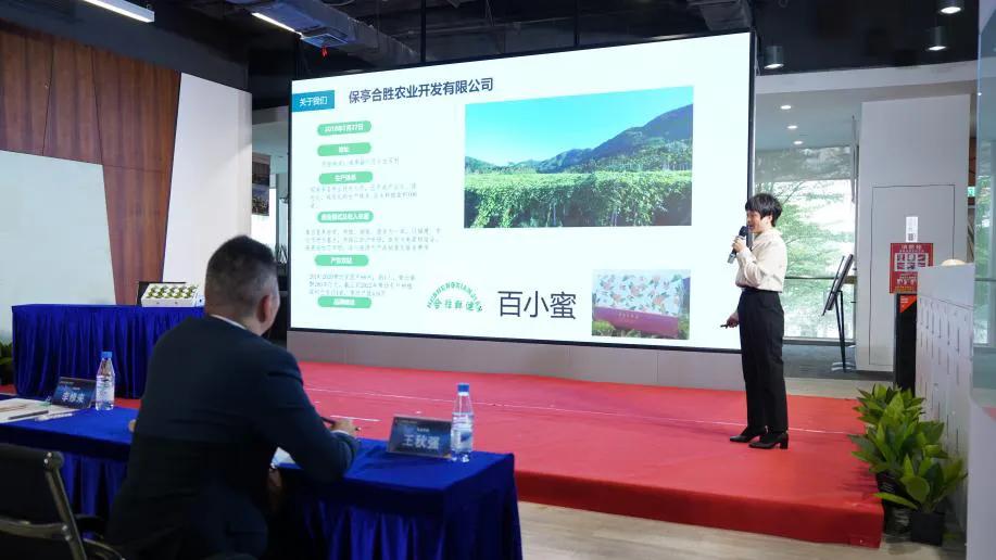 海南青年农产品品牌,海南农产品创展