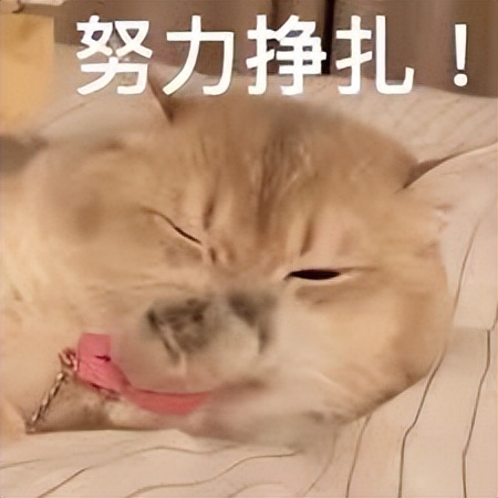 大牌平替真的能买吗,大牌平替到底值不值得买