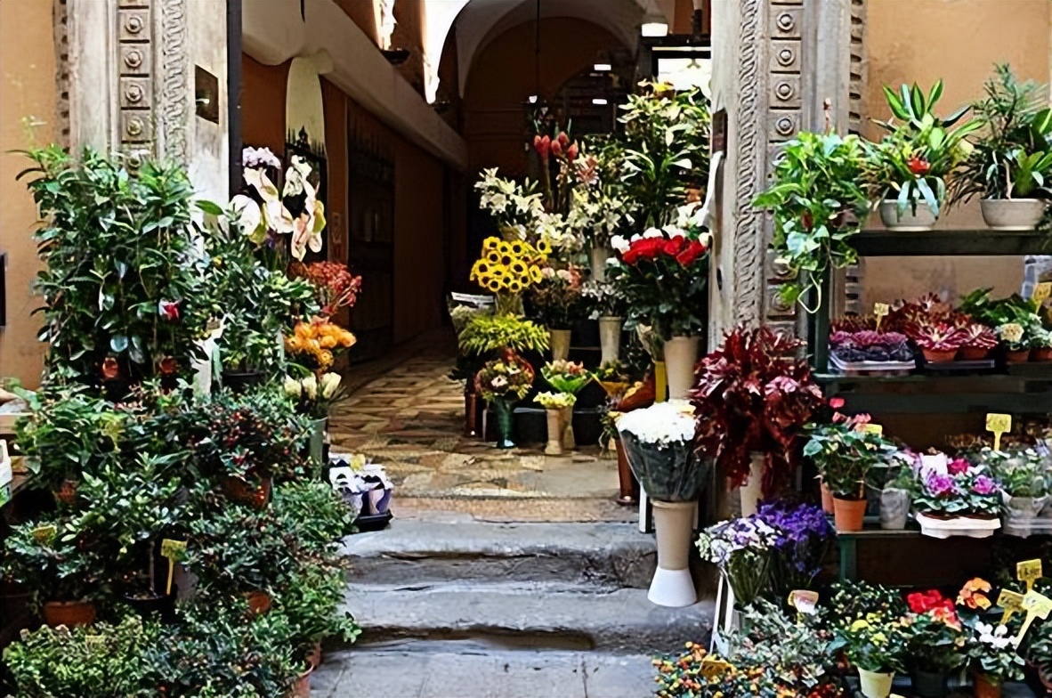 花店的暴利行业,开花店真的暴利吗