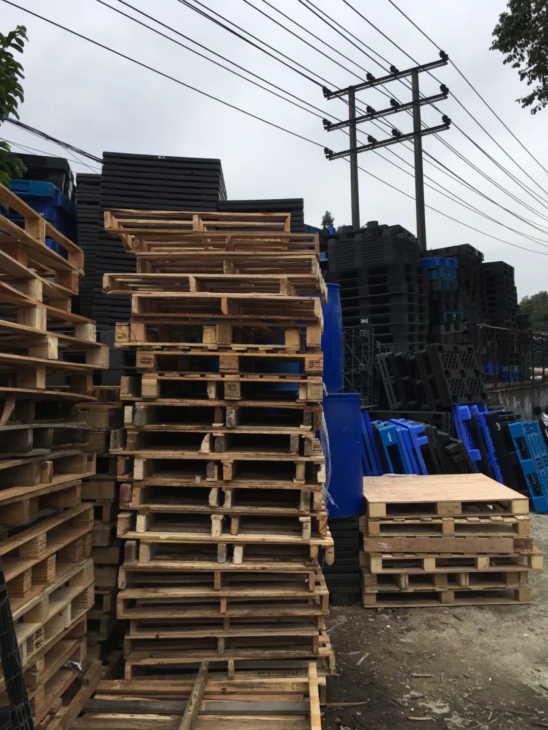 旭光电动车行,旭光车行向阳路