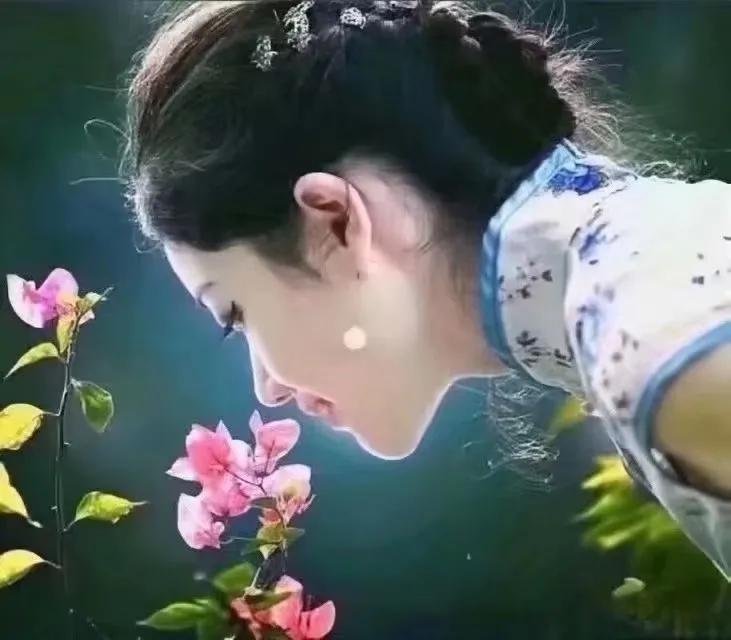 鍏冨瓒e懗鐏皽闆嗛敠,鍏冨鐏皽娲诲姩鎶ラ亾