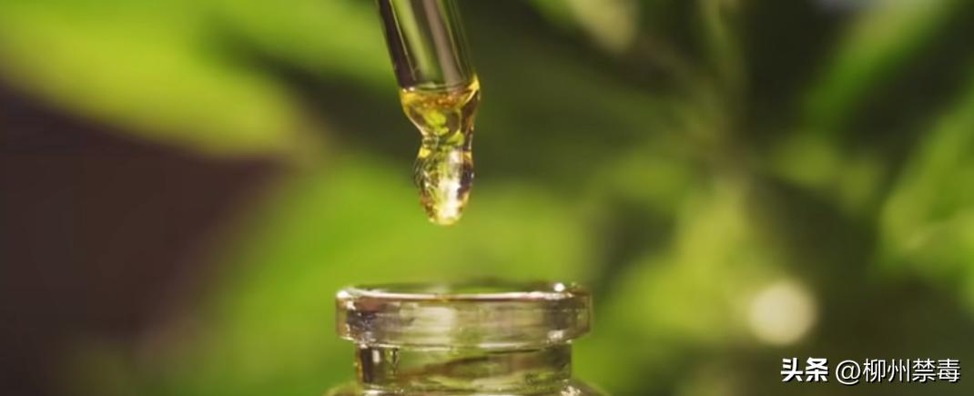 泰国*麻大**合法化以后，出国旅游留学怎样防止不慎染毒…...