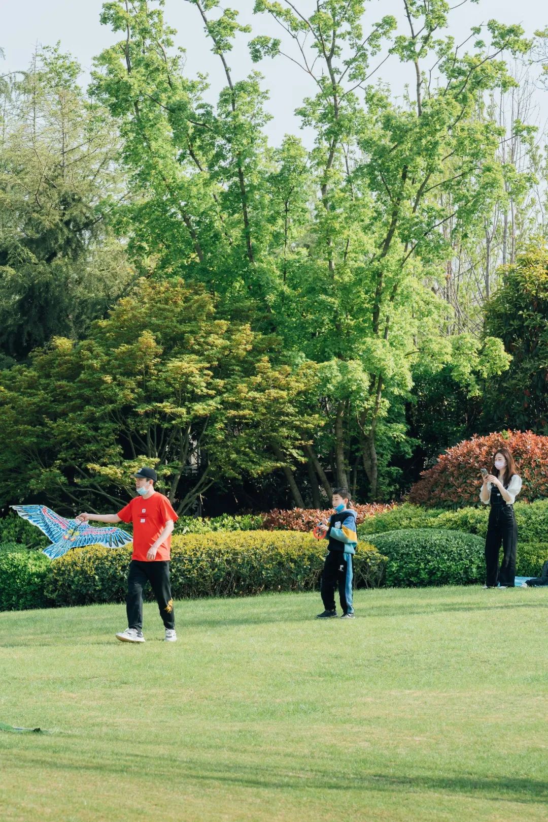 等一个自然而然的晴天一起去看海,等一个自然而然的晴天去海边