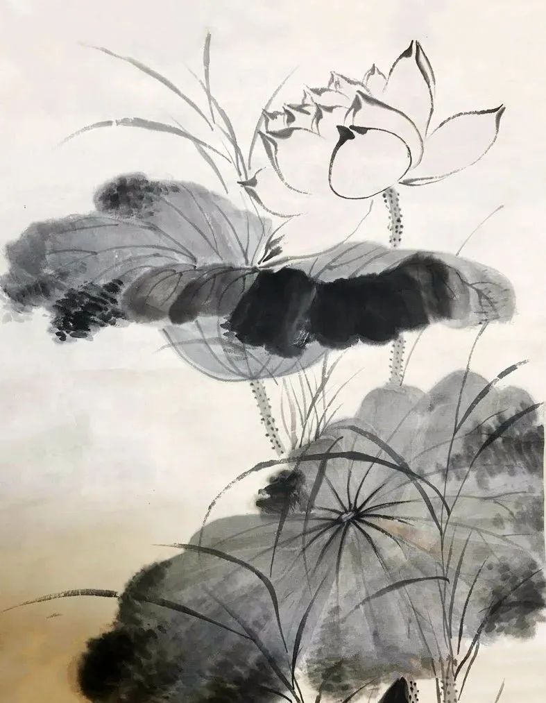 启功荷花作品欣赏,启功《荷上花帖》