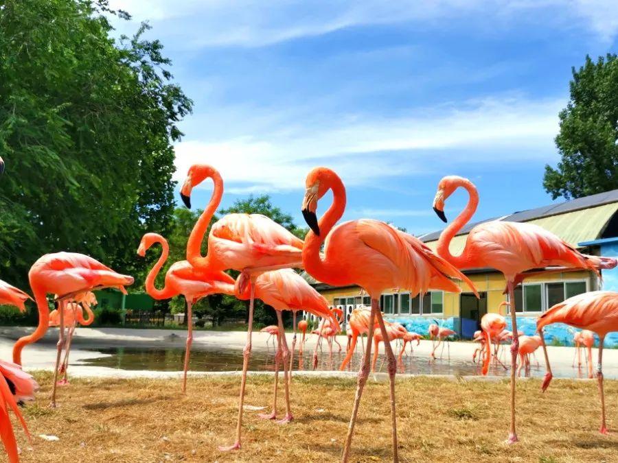 最美秦皇岛视频,用脚步丈量城市42.195公里