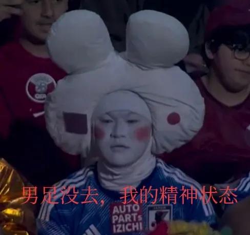 卡塔尔世界杯开幕式丁伟杰,卡塔尔世界杯赛场外观