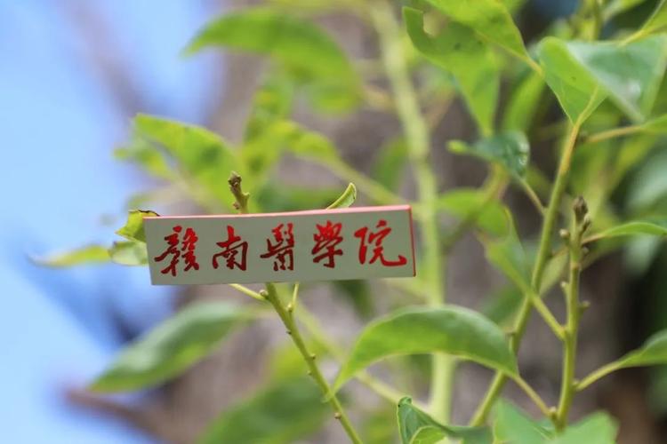 江西理科500推荐的二本公办大学,江西比较好的二本大学排名一览表