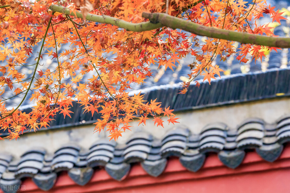 孟郊登科后科举考试经历,孟郊写下的千古绝句