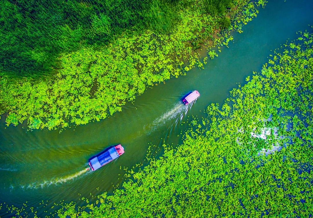 谁不说俺家乡好山东农民,谁不说俺家乡好山东大合唱视频