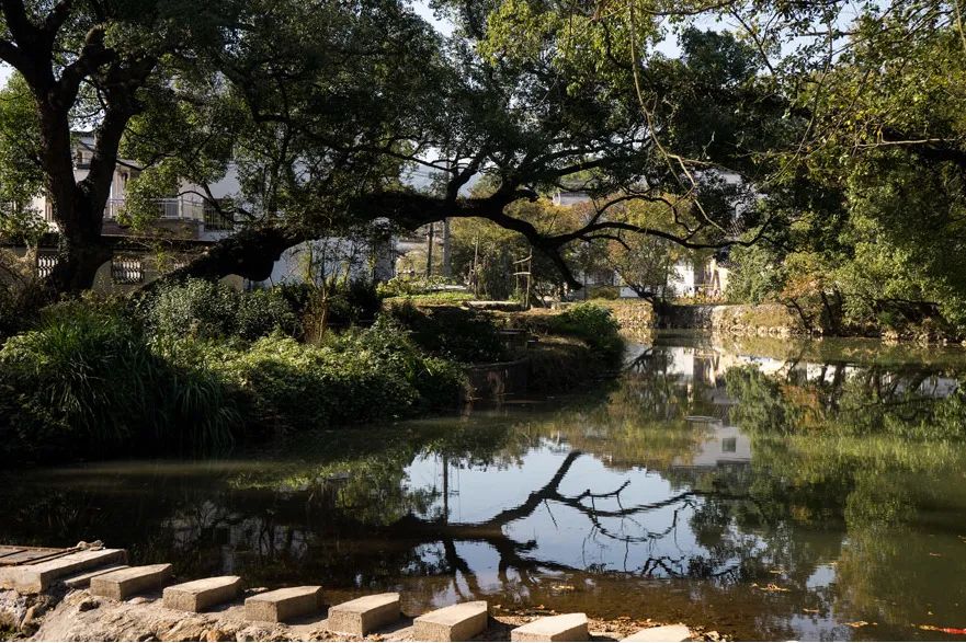 醉美黄山4天3晚游,五天四夜游黄山攻略