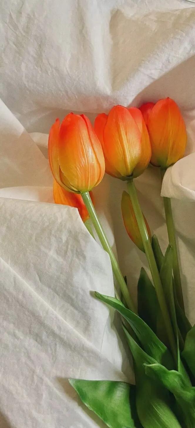 手机壁纸大全超好看动态,壁纸超清4k手机壁纸男生专用