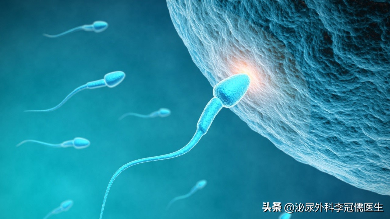 几亿个精子只有一个存活,成千上万精子