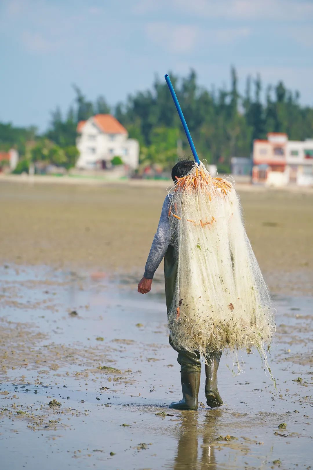 秦皇岛赶海退潮时间表,秦皇岛几点退潮赶海能捡到海鲜