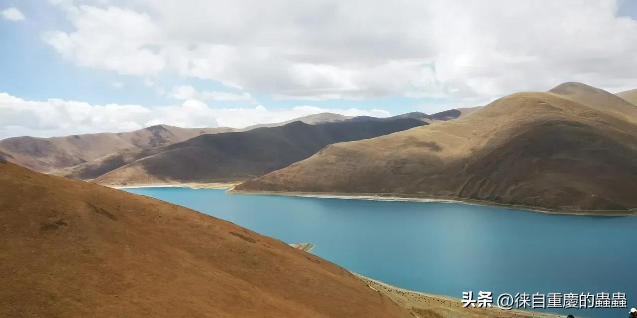 大学毕业证学位证就不发了,大学生毕业证还有学位证么