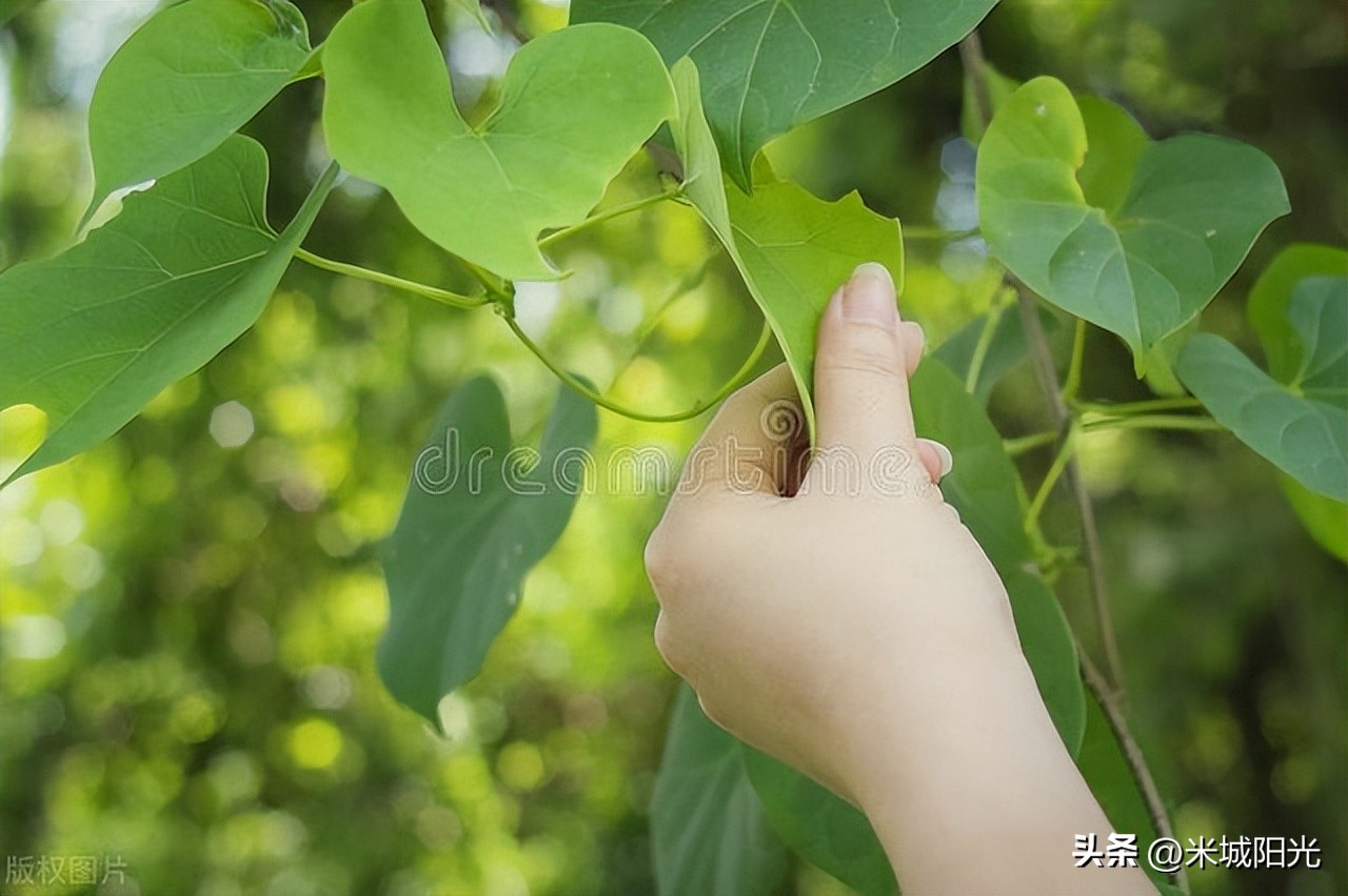 恋爱中男女心理变化表情,恋爱中的5种心理