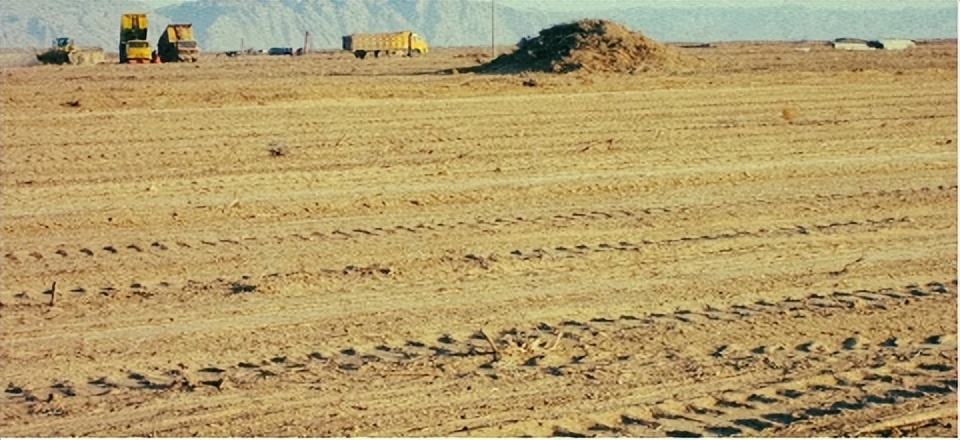 蒙牛沙漠有机奶是真的沙漠奶吗,来之不易的奶粉