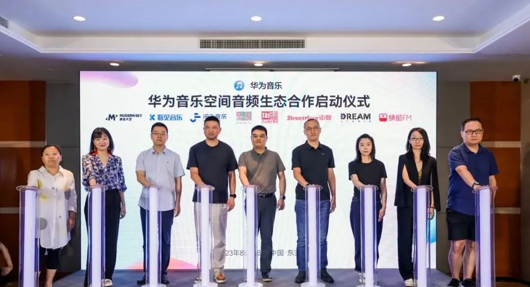 华为音乐曲库,为什么华为音乐占用空间越来越大